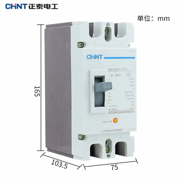 BREAKER CHINT C-M 2 POLOS  125A-600V 65KA-240V